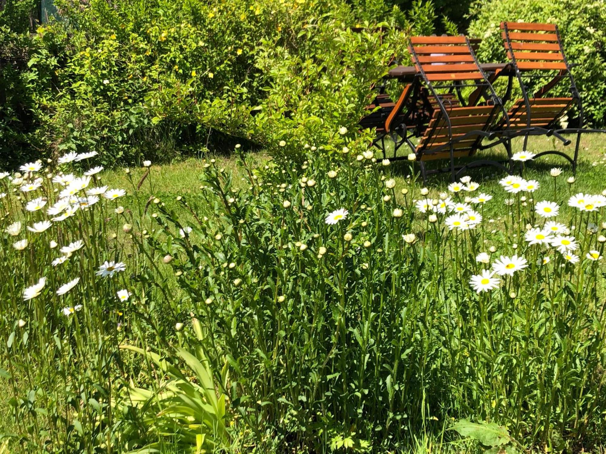 Camping Kouzelna Maringotka Chřibská